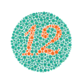 色覚異常検査表14表 石原式色覚検査表Ⅱ/ｺﾝｻｲｽ版14表｜取扱商品｜株式会社双葉